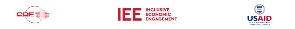 Request for Proposal - Development of interactive online grant application platform and educational toolkit for the Inclusive Economic Engagement Activity (IEEA)
